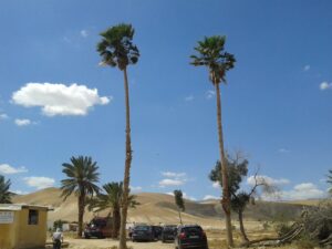 jordan valley