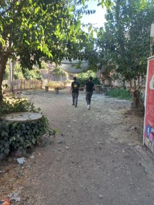 الساوية